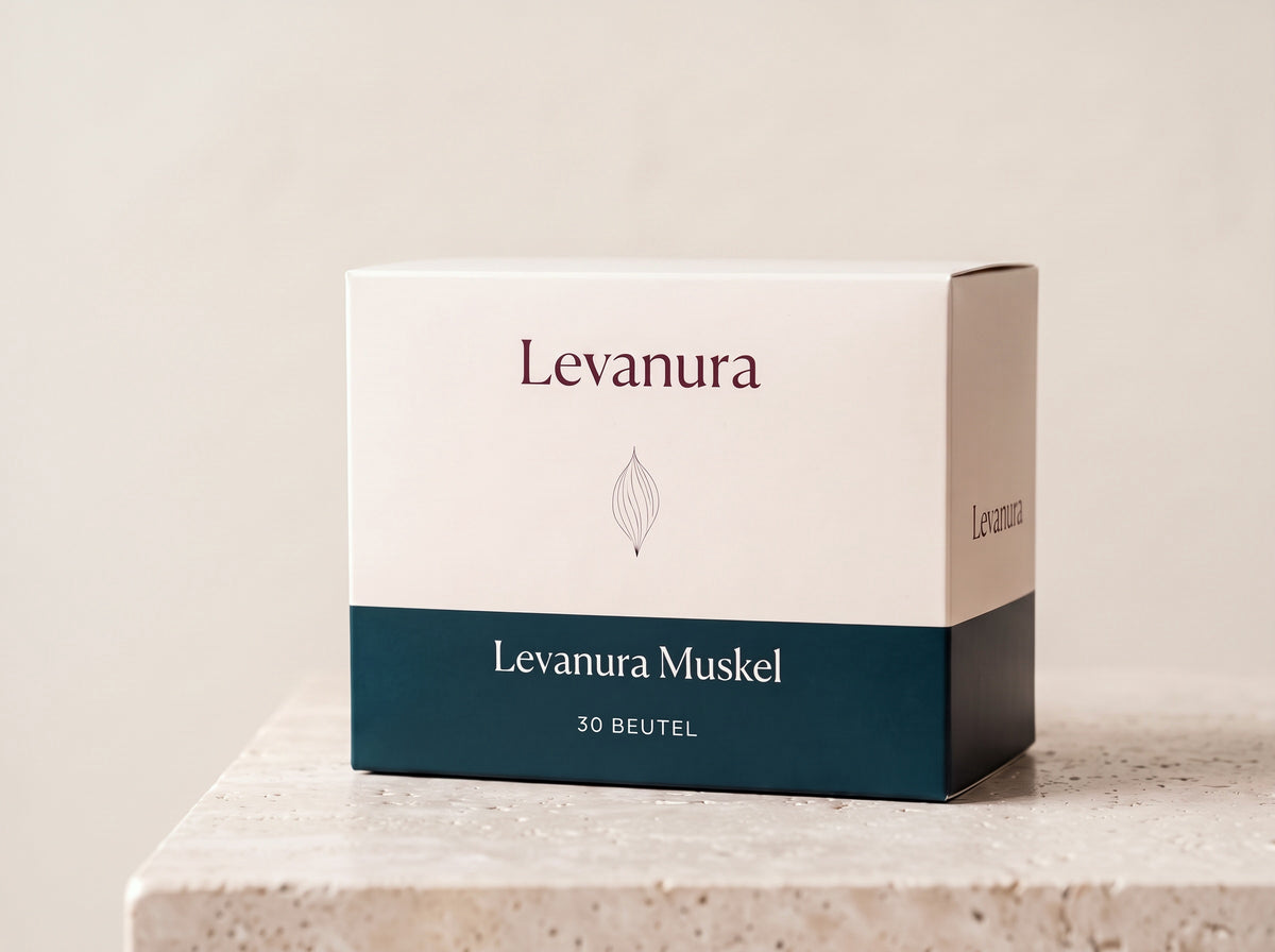 Levanura Muskel